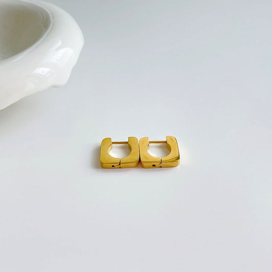 Light luxury earring #19