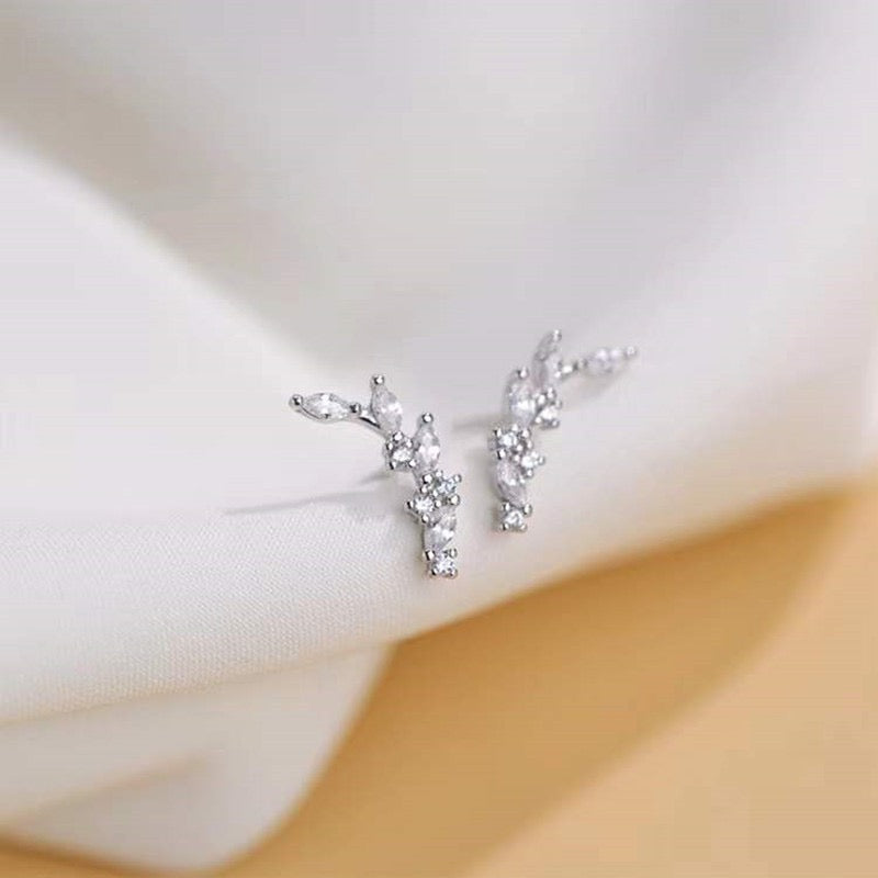 Brinco Prata Esterlina #05