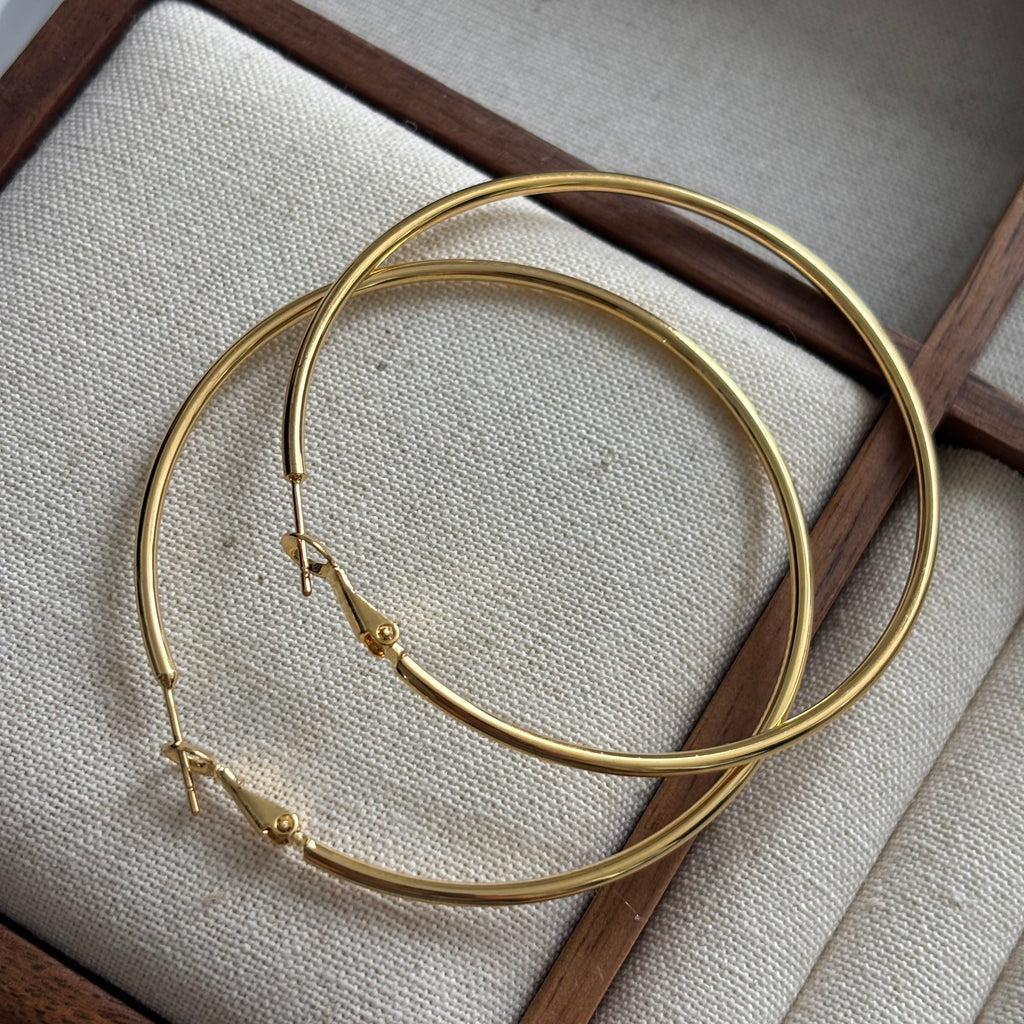 Brinco de Luxo Leve #10