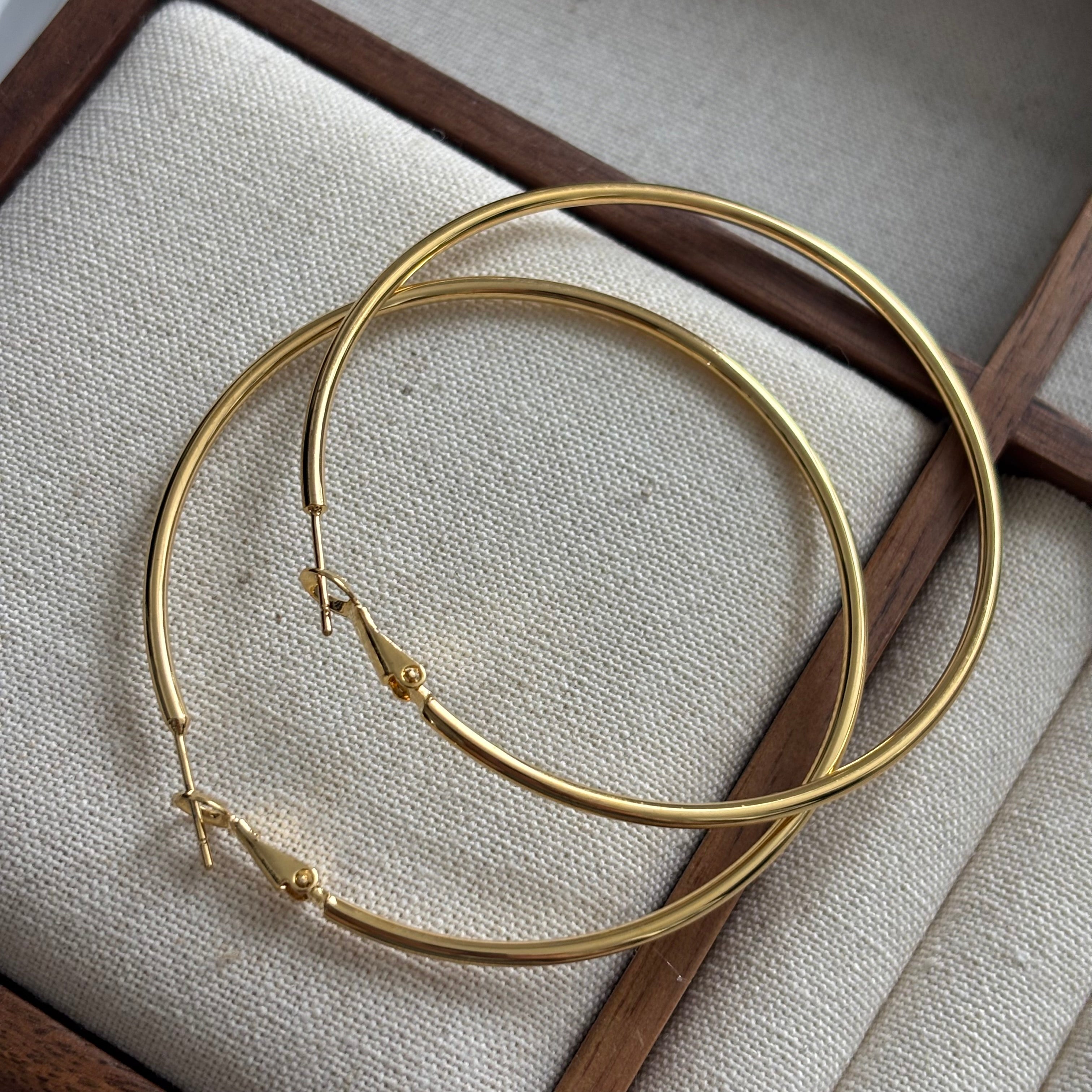 Brinco de Luxo Leve #10