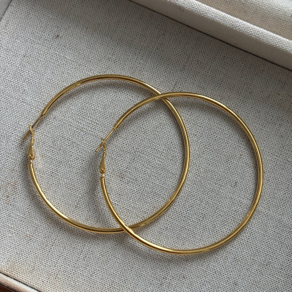 Brinco de Luxo Leve #10