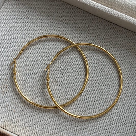 Brinco de Luxo Leve #10